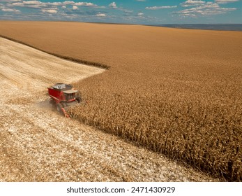 d67y7