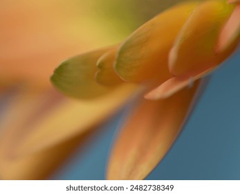 e0ns08slv